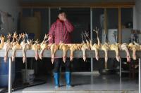 苏州市区暂停活禽交易，“杀白”家禽销售遇冷背后