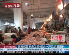 家禽销售遭遇禽流感冲击，水产品销量逆势增长